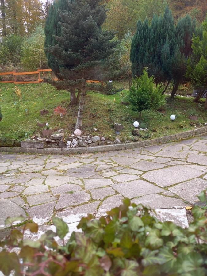 Apartamento Aroba neu, auch für Monteure Fehrenbach Exterior foto