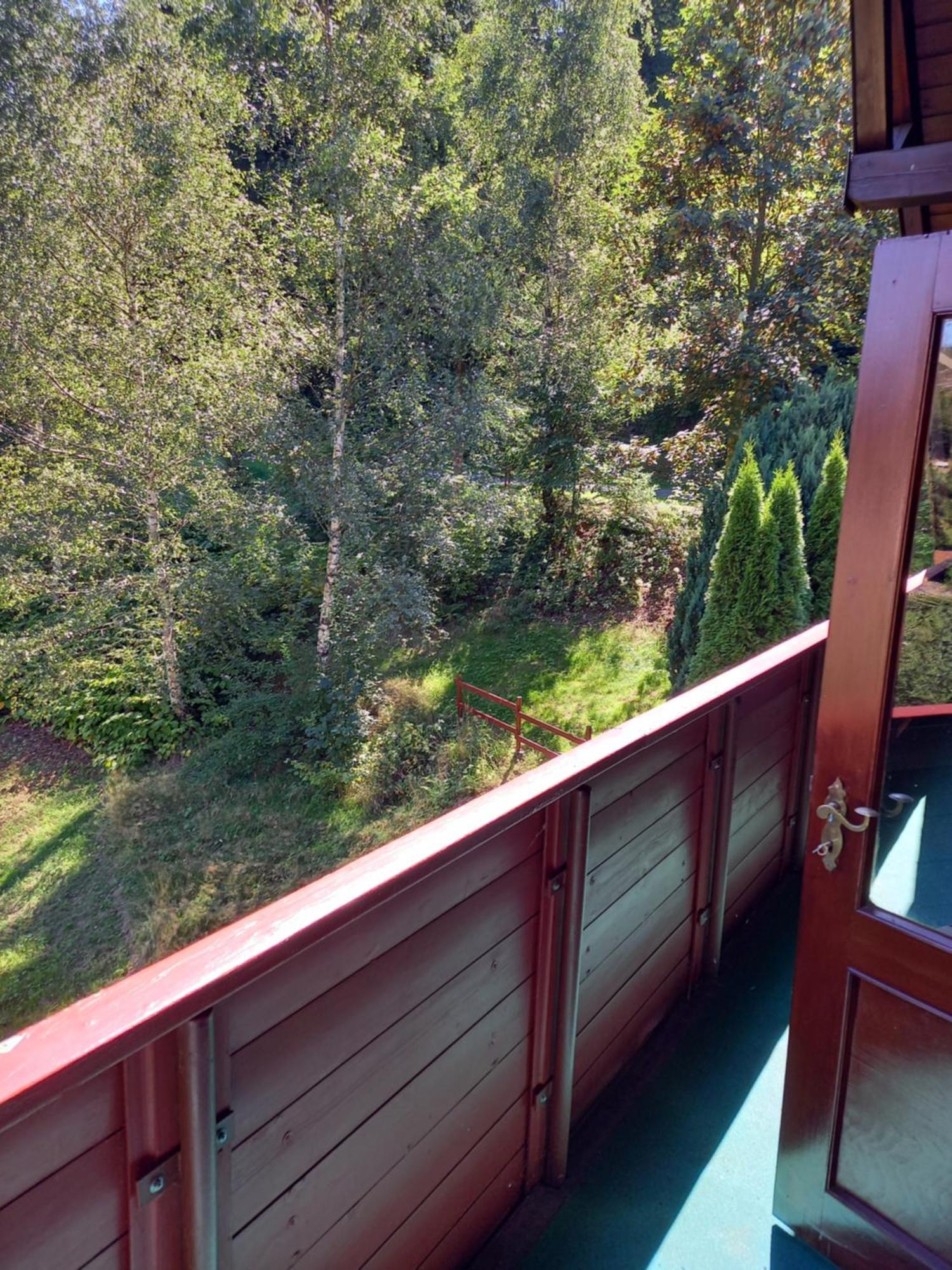 Apartamento Aroba neu, auch für Monteure Fehrenbach Exterior foto