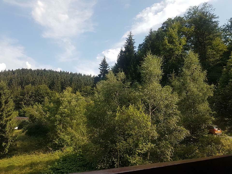Apartamento Aroba neu, auch für Monteure Fehrenbach Exterior foto